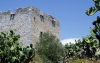 Laconia, Mani, Peloponnese, Tower