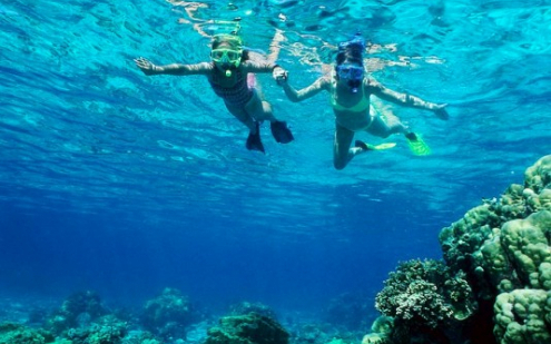 Peloponnese, underwater world, vacation, diving